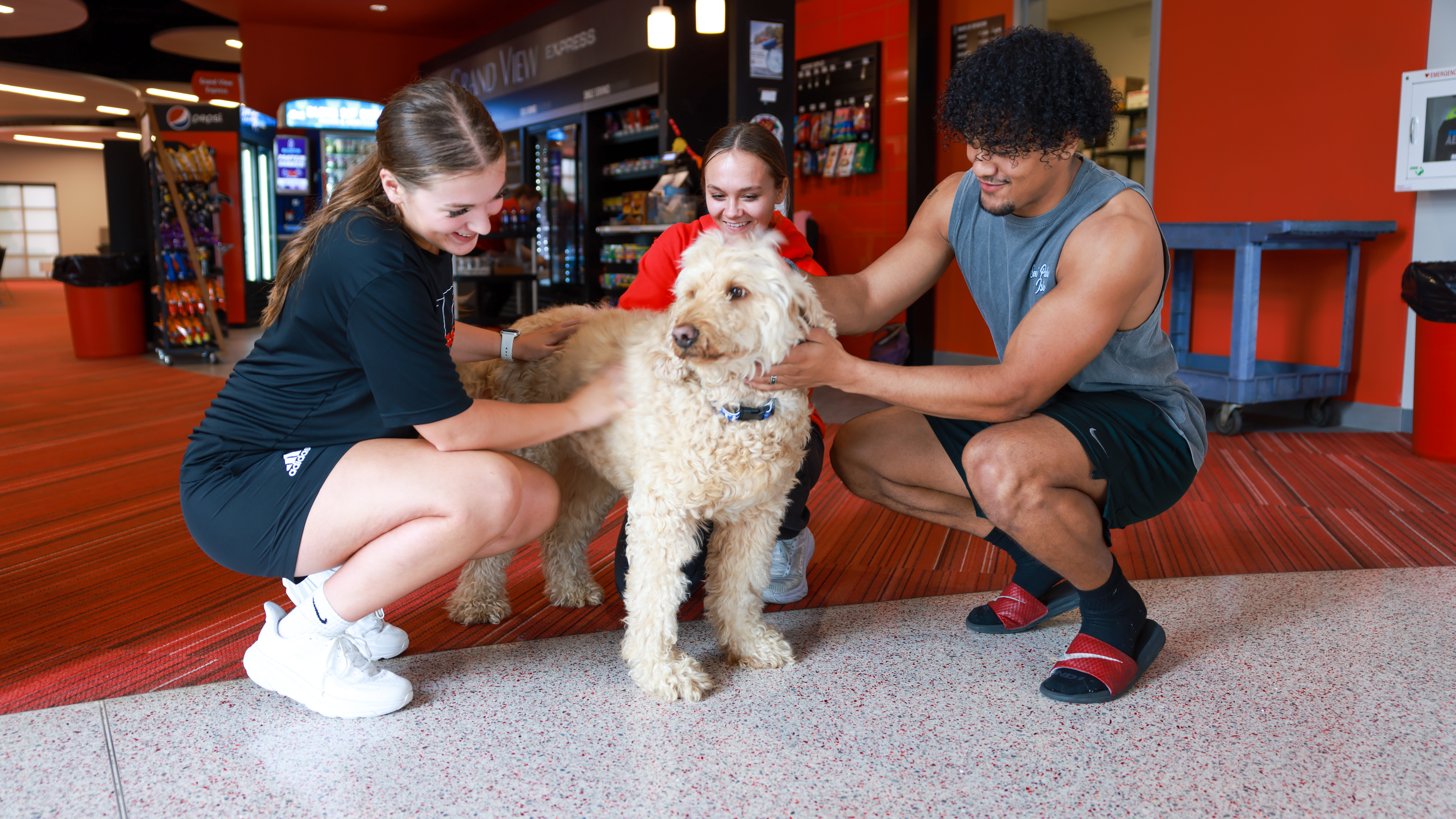 Archer the Therapy Dog