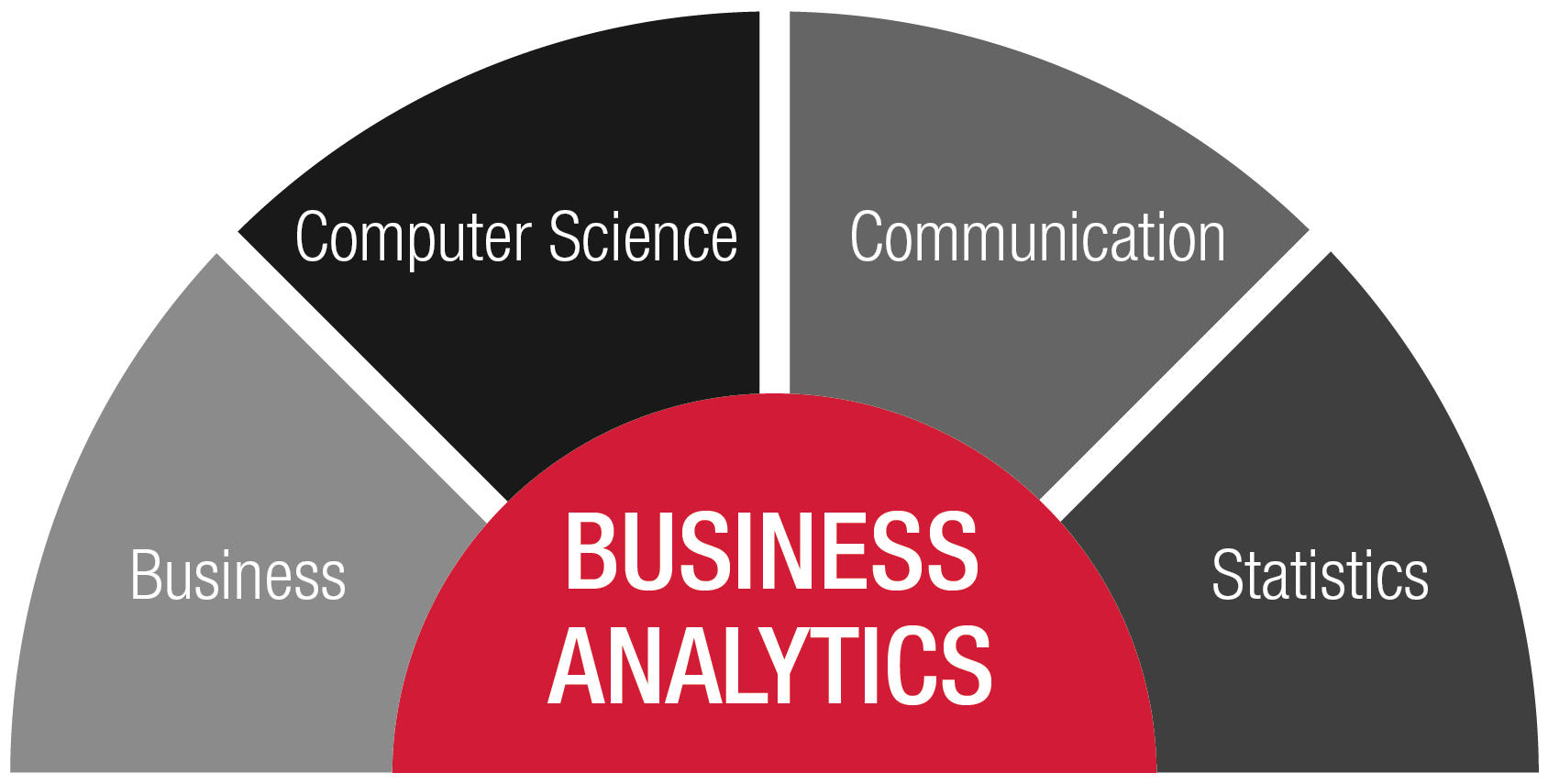 A degree in Business Analytics emphasizes skills in business, computer science, communication and statistics.